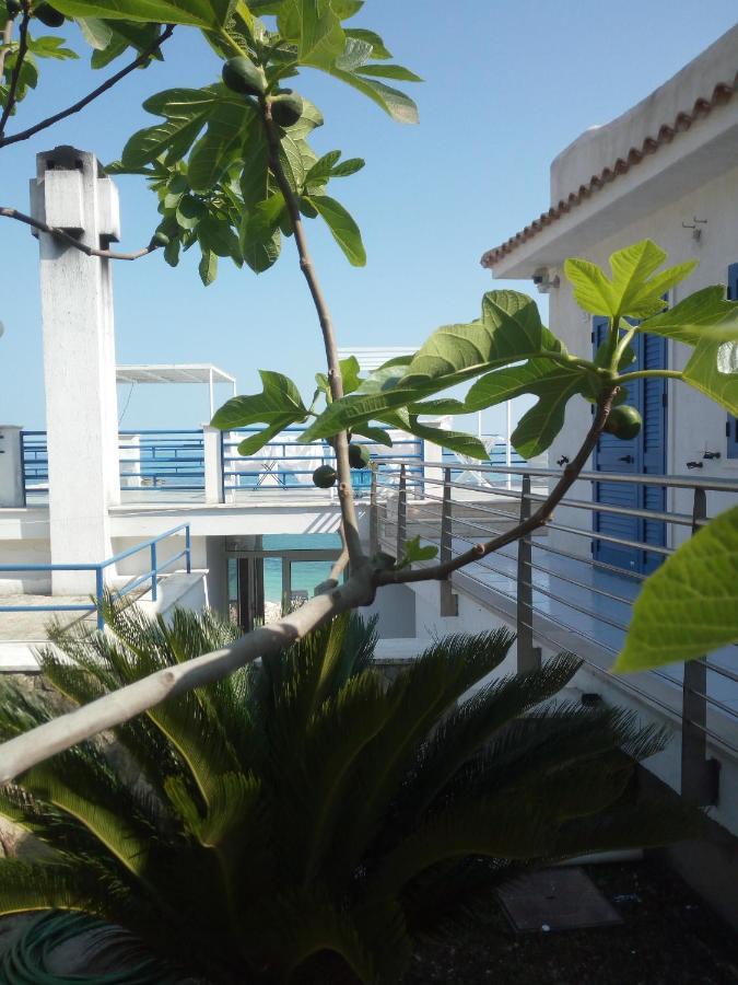 B&B Conca Del Faro Mattinata Ngoại thất bức ảnh